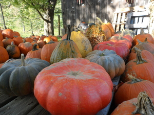 Little Rock Farm