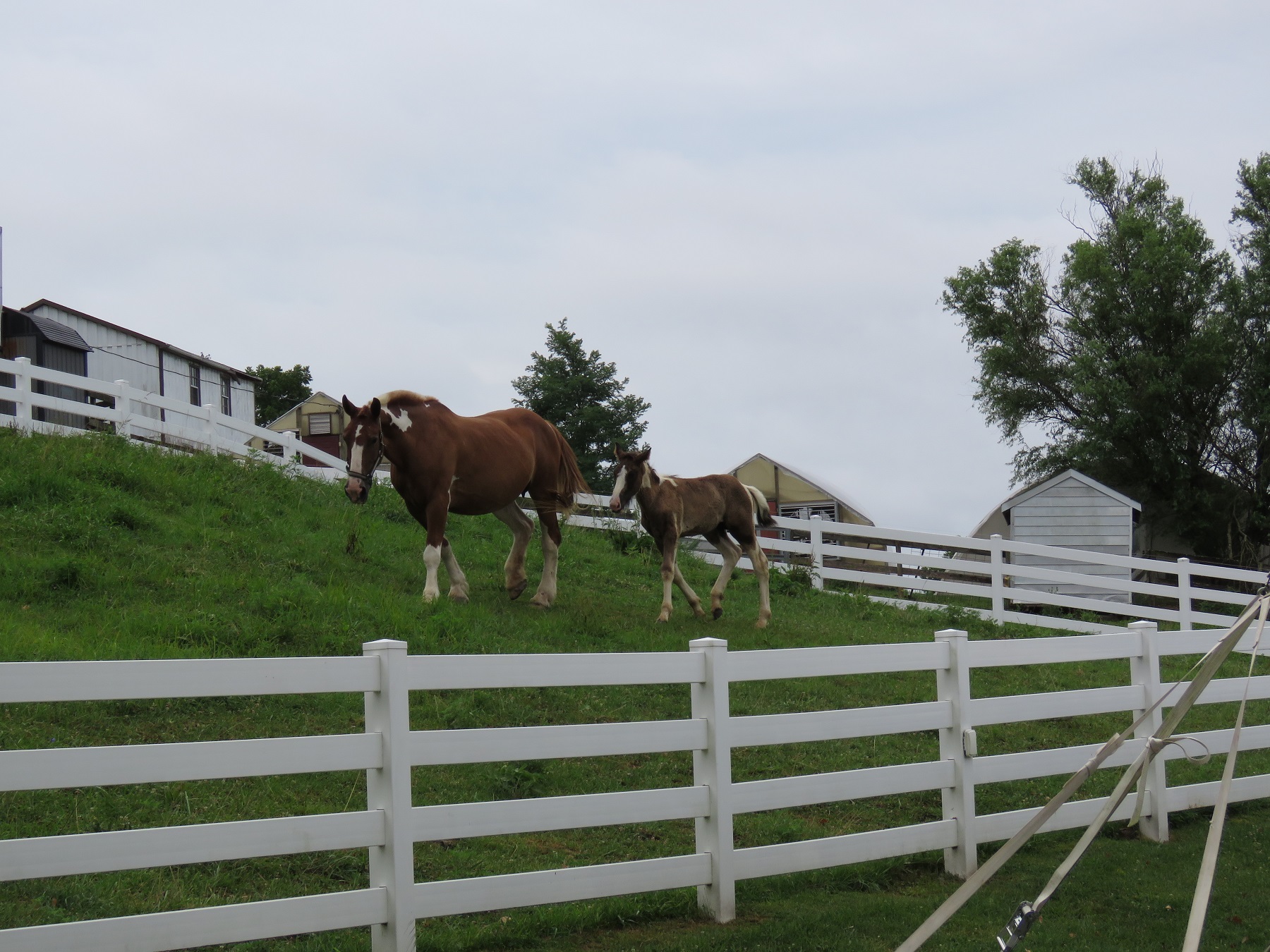 Farms & Equestrian Centers