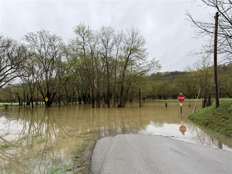 Flood Relief Information